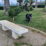 Non � per� divisa (come dovrebbe per la sicurezza dei cani pi� piccoli) in zone diverse a seconda della taglia dell�animale. Quando fu inaugurata c�era una fontana che non esiste pi�